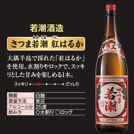 ≪41％OFF！☆プレゼント酒付き≫鹿児島3蔵 芋焼酎福袋 - 食品