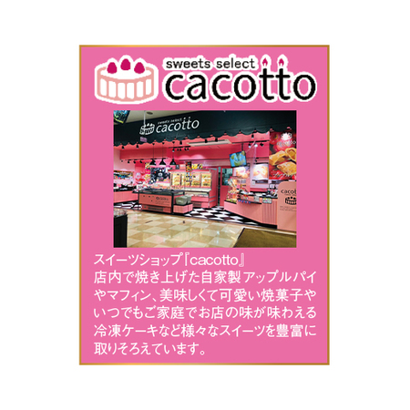 （早期）カラフルズコット【Ｘマス】