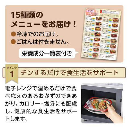 宅菜便　はんなり一菜お試し１５食Ａセット