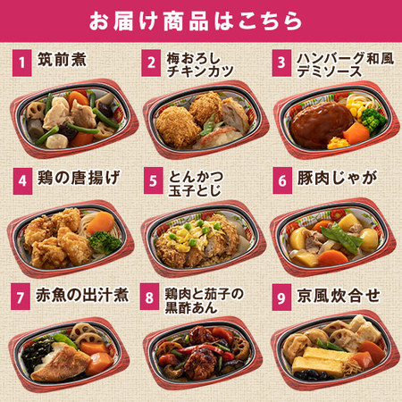 宅菜便　はんなり一菜お試し１５食Ａセット