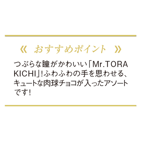 ≪ＷＥＢ限定★５１％オフ！在庫販売！≫東京クラウンキャットショコラ【５日前後お届け】