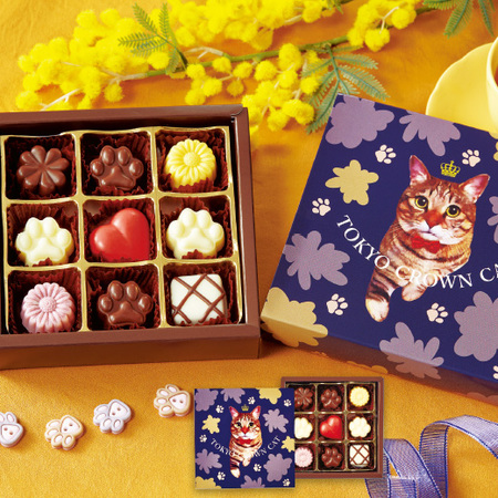≪ＷＥＢ限定★５１％オフ！在庫販売！≫東京クラウンキャットショコラ【５日前後お届け】