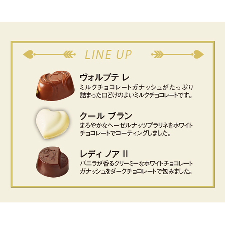 ≪ＷＥＢ限定★約１１％オフ！≫ゴディバ入りお得！ブランドチョコ福袋　【５日前後お届け】