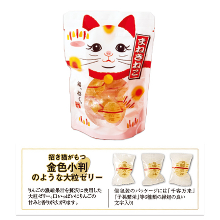 ≪ＷＥＢ限定★約２４％オフ！≫超お得！べるーにゃ入り福袋【５日前後お届け】