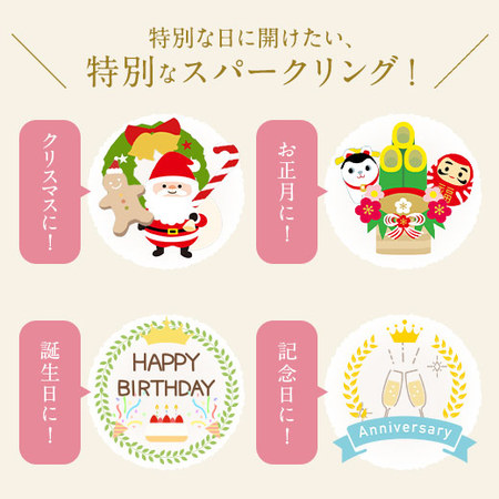 越乃姫酒純米スパークリング３本セット