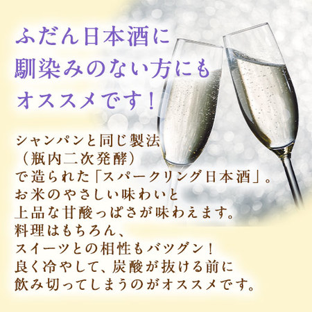 越乃姫酒純米スパークリング３本セット