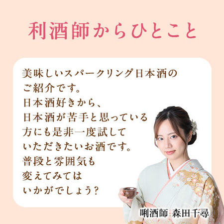 越乃姫酒純米スパークリング３本セット