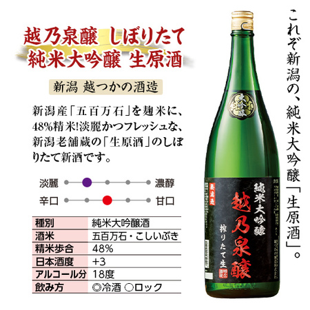 越乃泉醸　しぼりたて純米大吟醸　生原酒