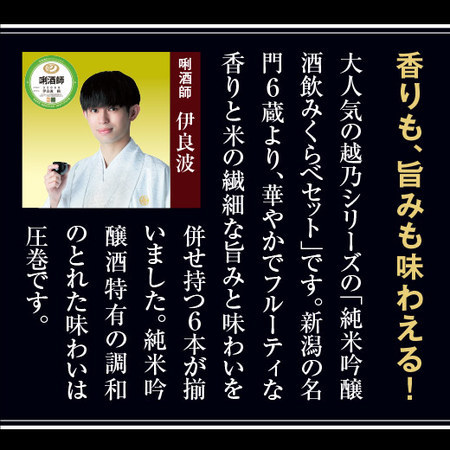 ≪５３％ＯＦＦ！≫特割！越乃六蔵純米吟醸飲みくらべ一升瓶６本組