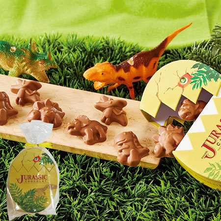 ネット専用お買得チョコセットＤ【通常