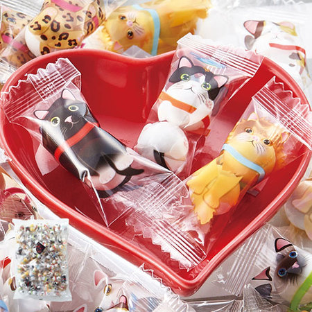 ≪ＶＤお届け≫にゃんにゃんにゃん