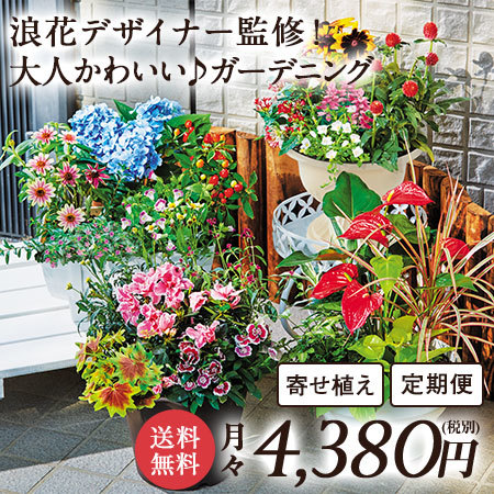 Ｅ浪花監修「大人可愛い♪Ｇ」。