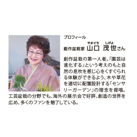 Ｅお花見盆栽２