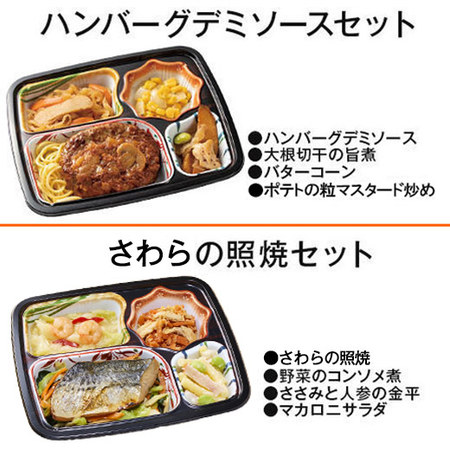 宅菜便　おふくろ御膳１０食版（お試し版Ｆセット）