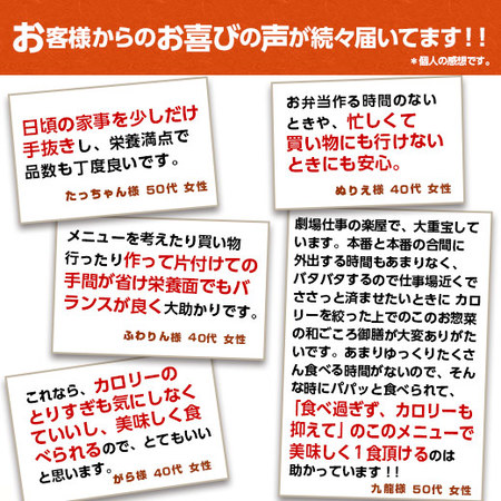 宅菜便　匠の和ごころ御膳１０食版（お試し版Ｆセット）【第２弾】