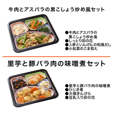 宅菜便　匠の和ごころ御膳１０食版（お試し版Ｆセット）【第２弾】