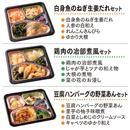 宅菜便　健康応援御膳21食セット【単品】