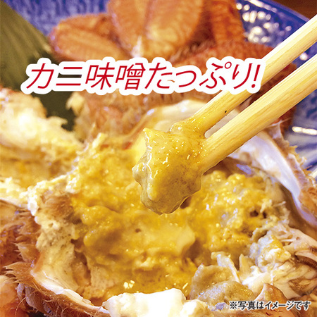 北海道産毛ガニ姿２杯