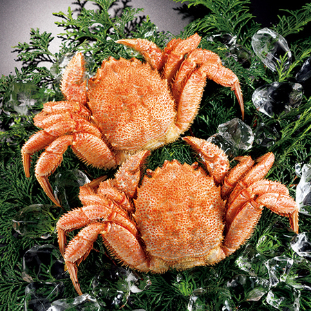 北海道産毛ガニ姿３杯
