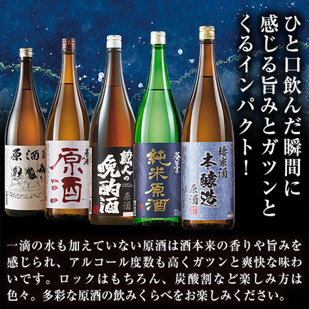 ≪４４％ＯＦＦ！≫家呑み応援！原酒晩酌セット