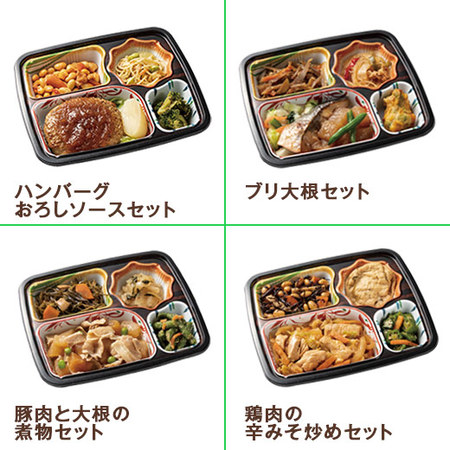 宅菜便　しっかり味のボリュームおかず20食（20種×1食）