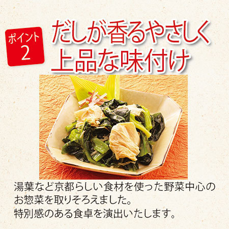 【アウトレットセール】京都匠のおそうざい40袋（Bセット）