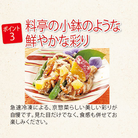 【アウトレットセール】京都匠のおそうざい40袋（Bセット）