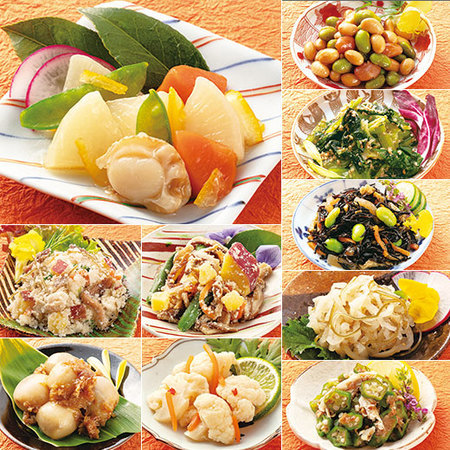 【アウトレットセール】京都匠のおそうざい40袋（Bセット）