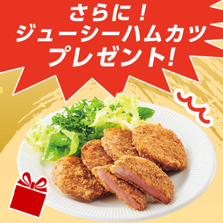 ≪会員様限定★タイムセール≫≪特別送料無料≫レンジで簡単！揚げ物四天王福袋