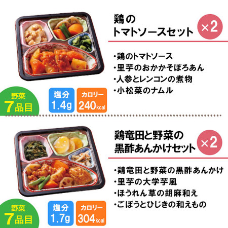 宅菜便　からだ想いのはれやか御膳20食（お試しAセット）