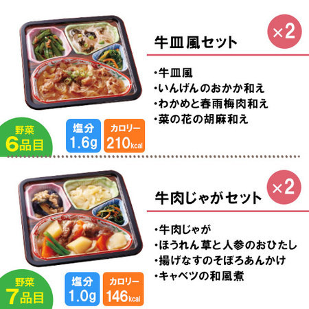 宅菜便　からだ想いのはれやか御膳20食（お試しAセット）