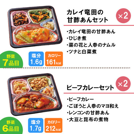 宅菜便　からだ想いのはれやか御膳20食（お試しAセット）