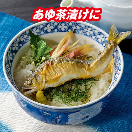 国産あゆの踊り焼き１６尾