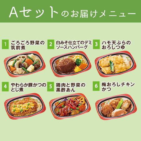 宅菜便　京都はんなり一菜お試し１５食（Aセット）