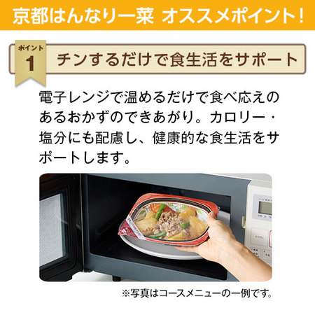 宅菜便　京都はんなり一菜お試し３０食（Aセット）