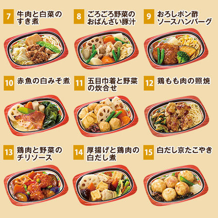 宅菜便　京都はんなり一菜お試し１５食（Cセット）