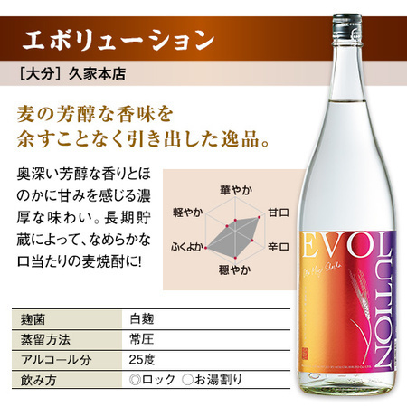 ≪５１％ＯＦＦ！≫特割！大分・壱岐五蔵麦焼酎飲みくらべ一升瓶５本組＜第３弾＞