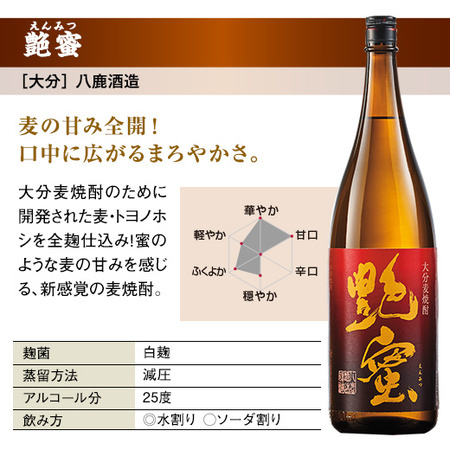 ≪５１％ＯＦＦ！≫特割！大分・壱岐五蔵麦焼酎飲みくらべ一升瓶５本組＜第３弾＞