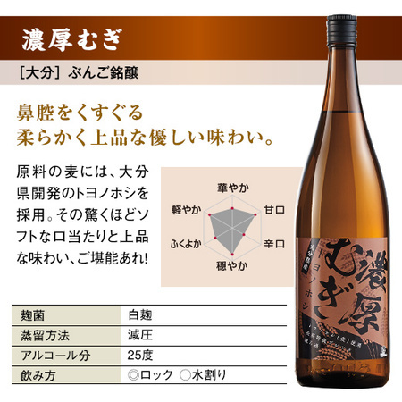 ≪５１％ＯＦＦ！≫特割！大分・壱岐五蔵麦焼酎飲みくらべ一升瓶５本組＜第３弾＞