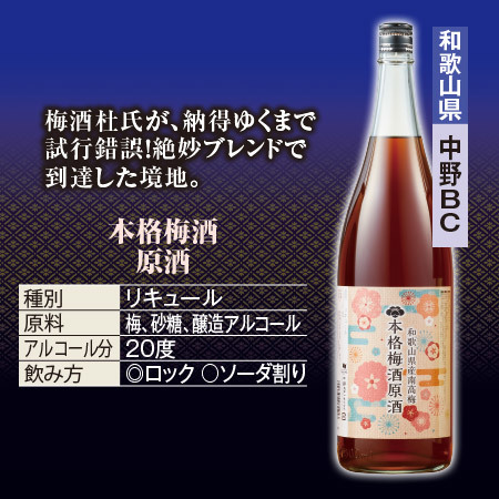 ≪５５％ＯＦＦ！≫利酒師厳選の梅酒原酒飲みくらべ５本組＜第２弾＞