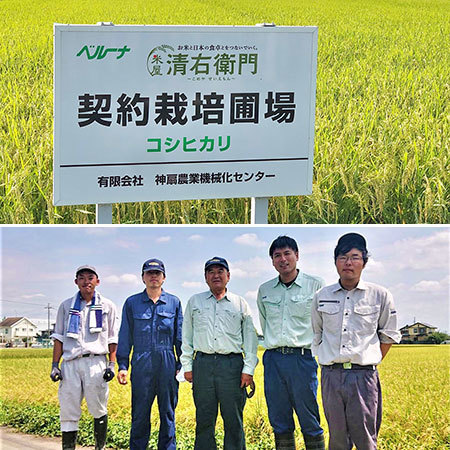 埼玉県幸手産こしひかり ３キロ