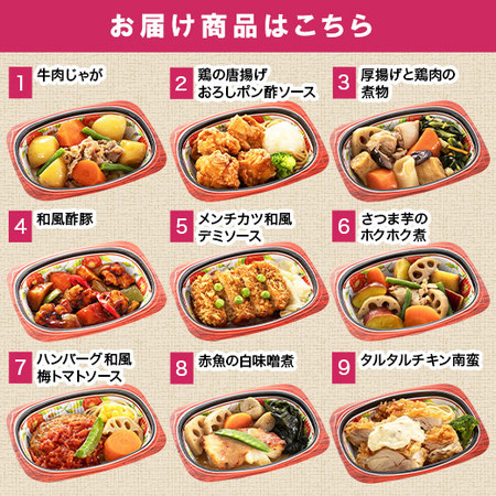 宅菜便　はんなり一菜お試し１５食Ｂセット