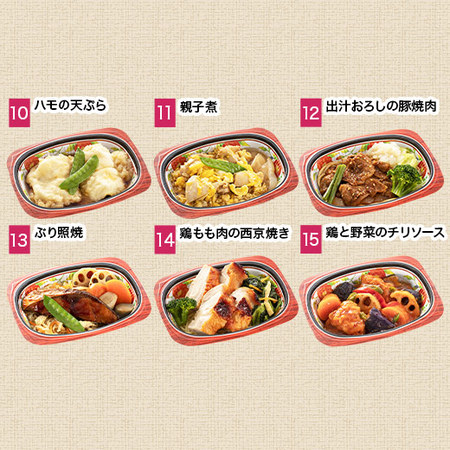 宅菜便　はんなり一菜お試し１５食Ｂセット