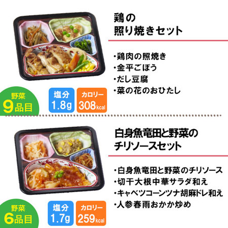 宅菜便　からだ想いのはれやか御膳10食（お試しBセット）