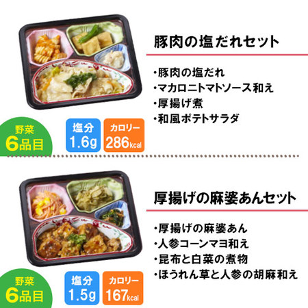 宅菜便　からだ想いのはれやか御膳10食（お試しBセット）