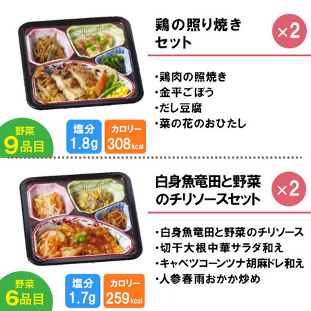 宅菜便　からだ想いのはれやか御膳20食（お試しBセット）