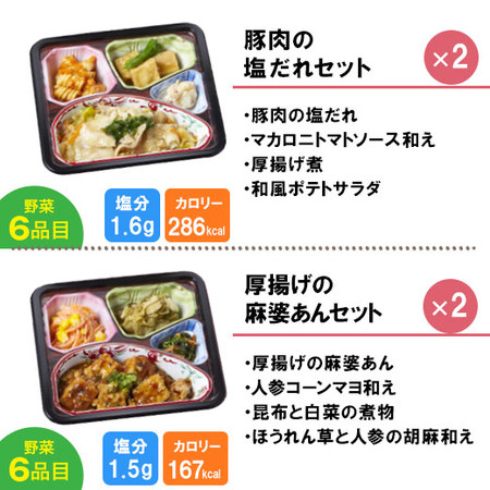 宅菜便　からだ想いのはれやか御膳20食（お試しBセット）