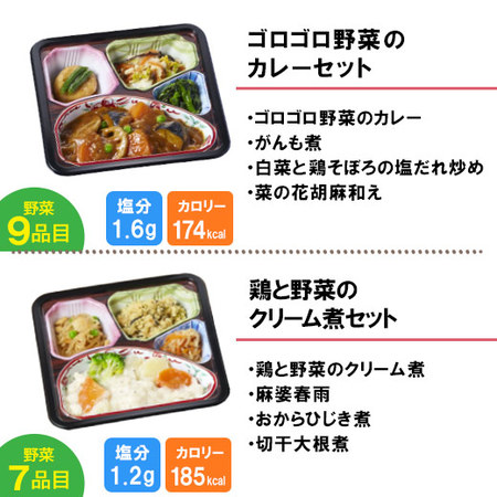 宅菜便　からだ想いのはれやか御膳10食（お試しCセット）