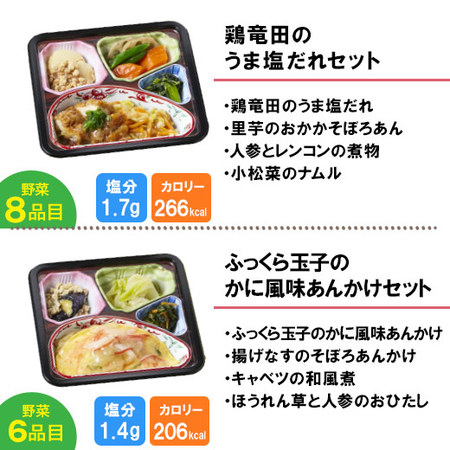 宅菜便　からだ想いのはれやか御膳10食（お試しDセット）