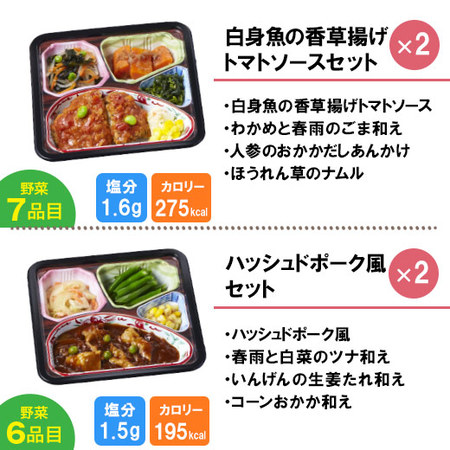 宅菜便　からだ想いのはれやか御膳20食（お試しEセット）